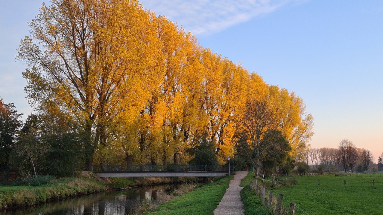 Goldener Herbst an der Niers