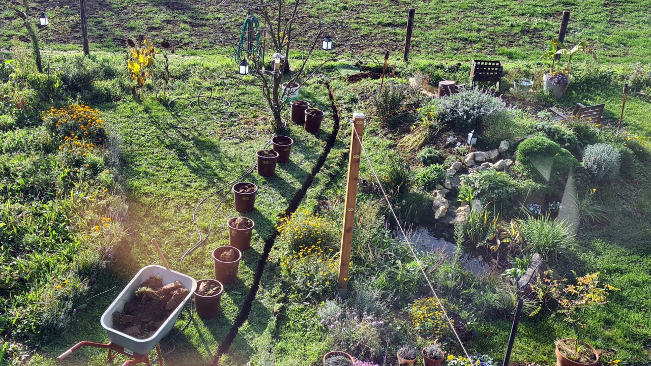 Der Garten unter Strom