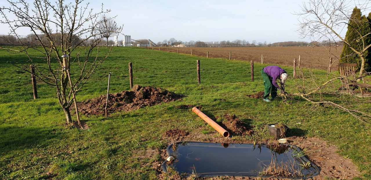 Projekt Gartenteich - Der Start