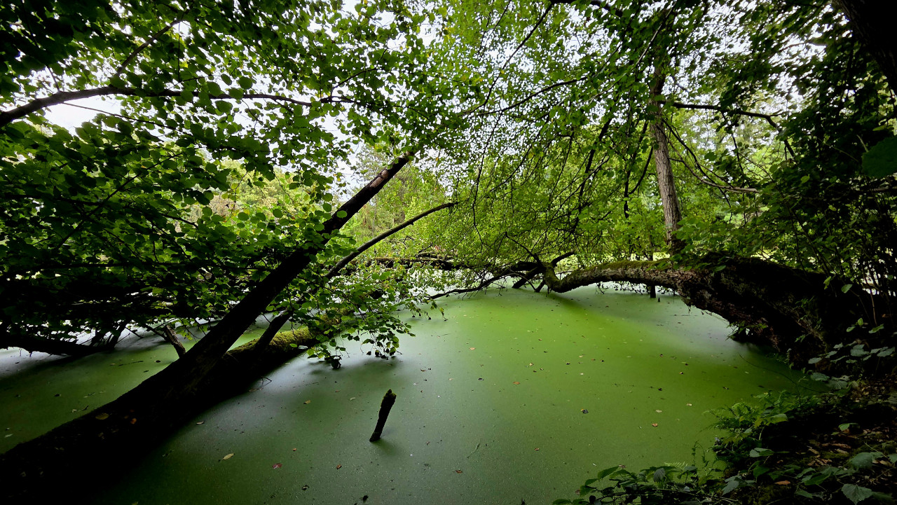 10 Kilometer Naturgenuss zwischen Lind und dem Samannshof