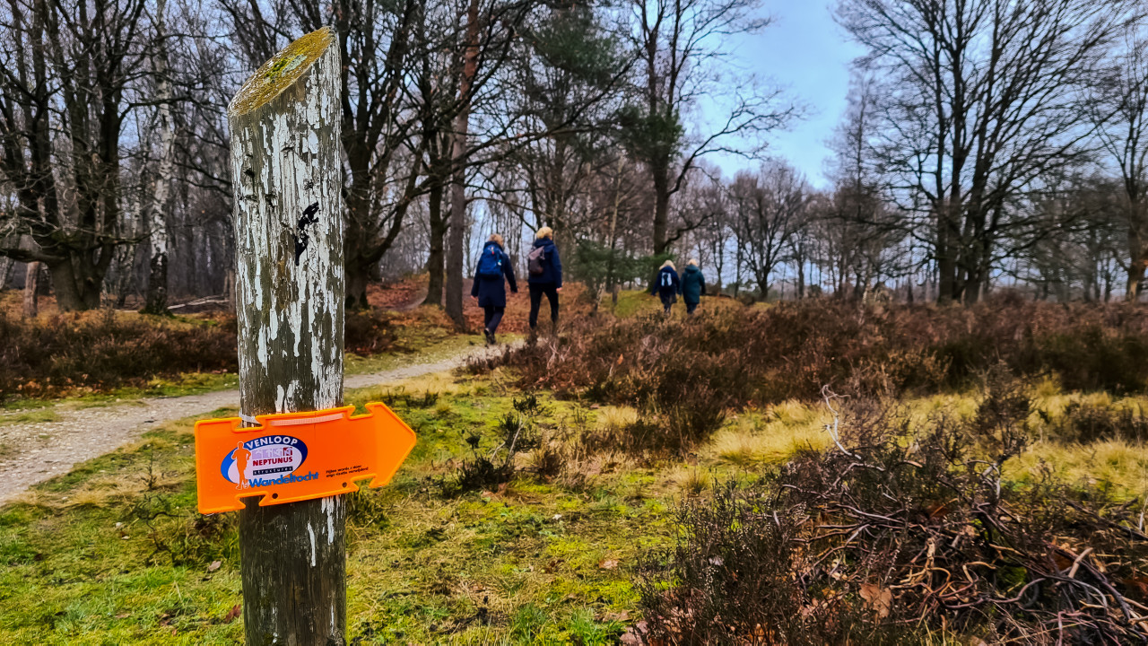 1. Testwanderung für den Venloop