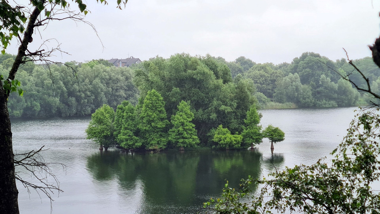 Zum Töppersee in Duisburg und zurück